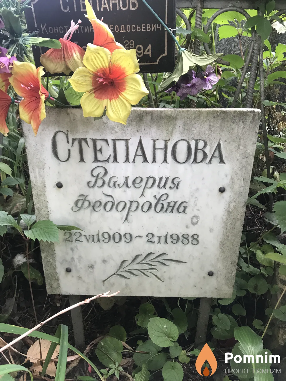 Степанова Валерия Федоровна