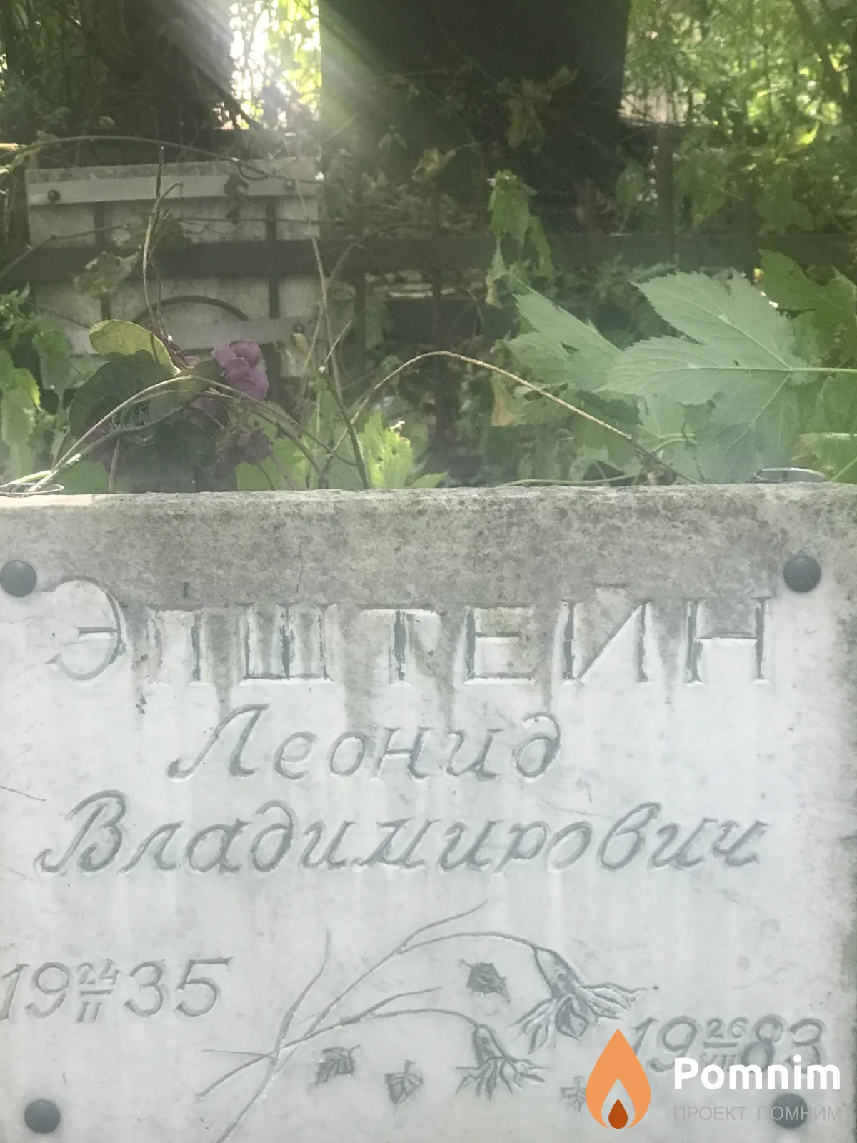 Эпштейн Леонид Владимирович