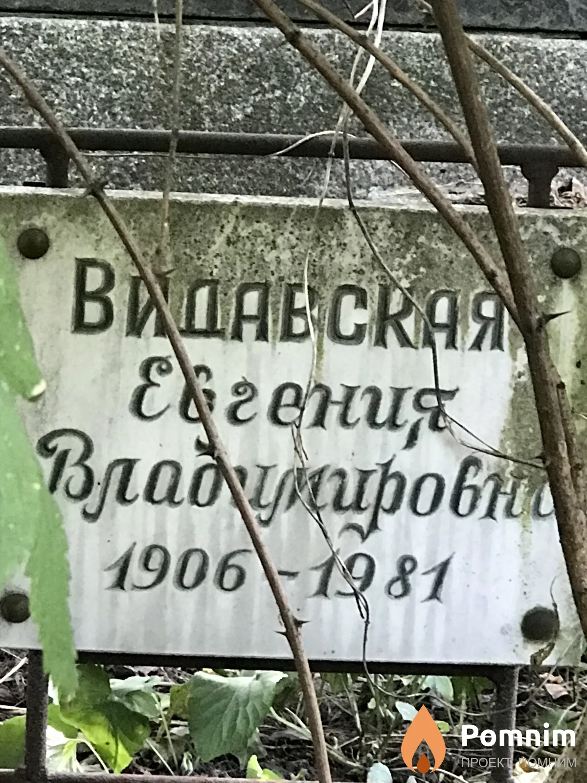 Видавская Евгения Владимировна