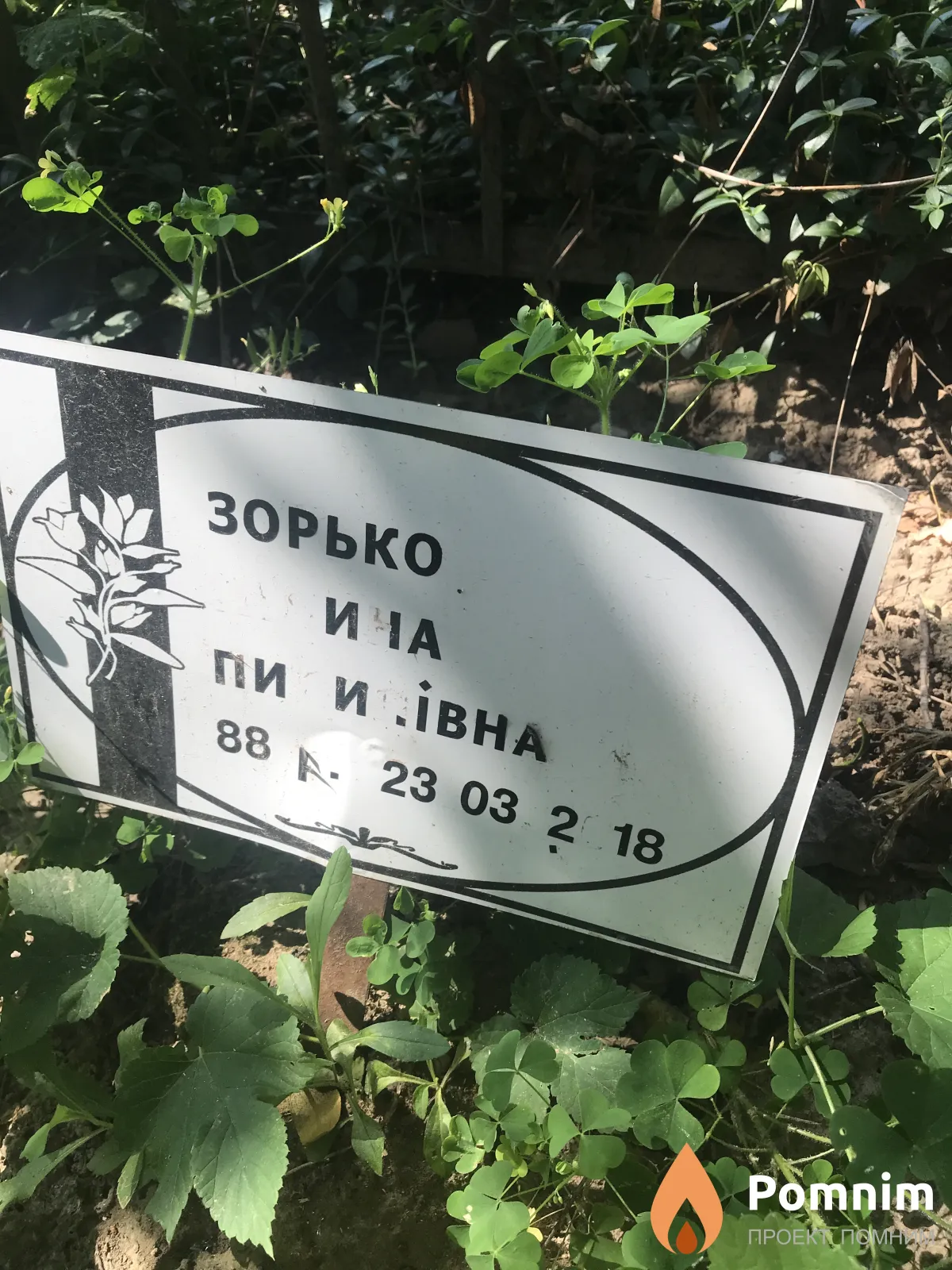 Зорько Ина Павловна