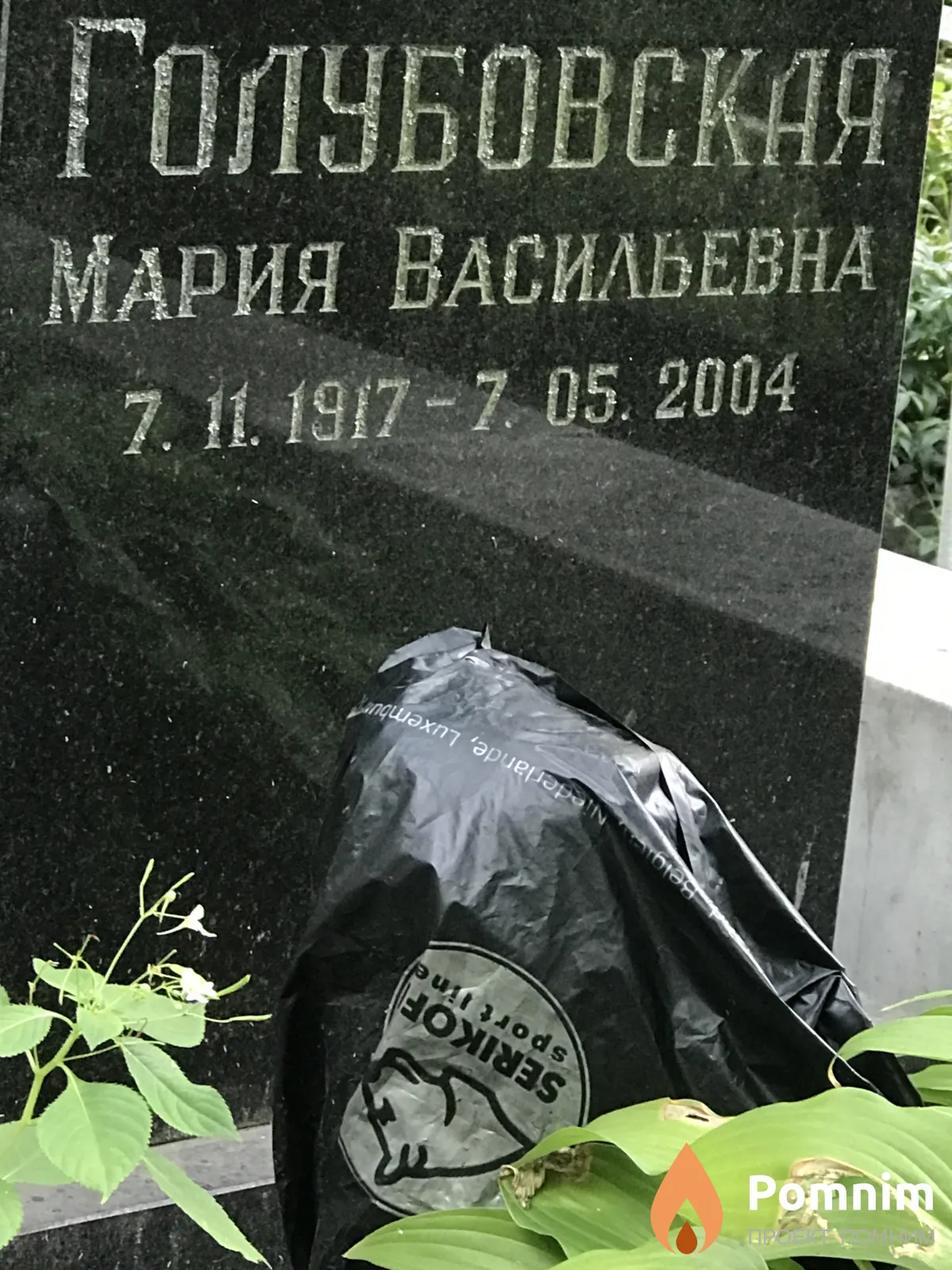 Голуюовская Мария Васильевна