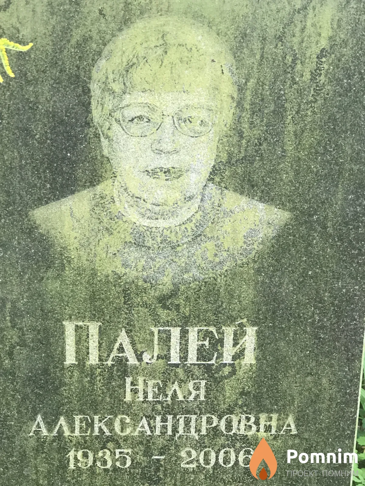 Палей Неля Александровна