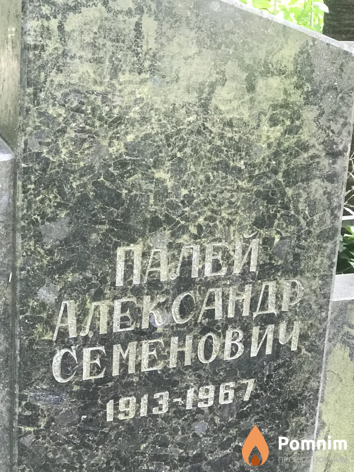 Палей Александр Семенович