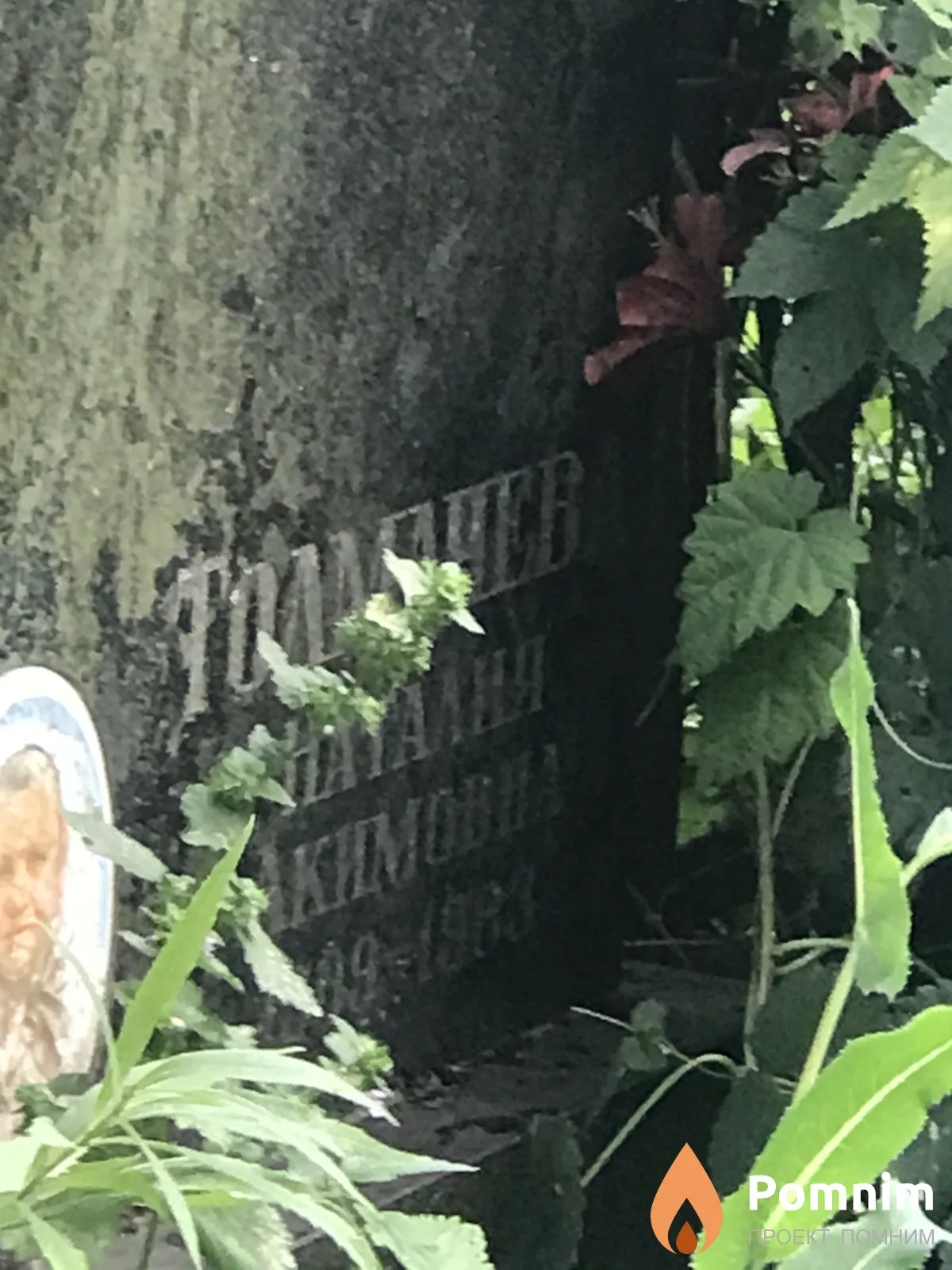 Толмачева Наталия Акимовна
