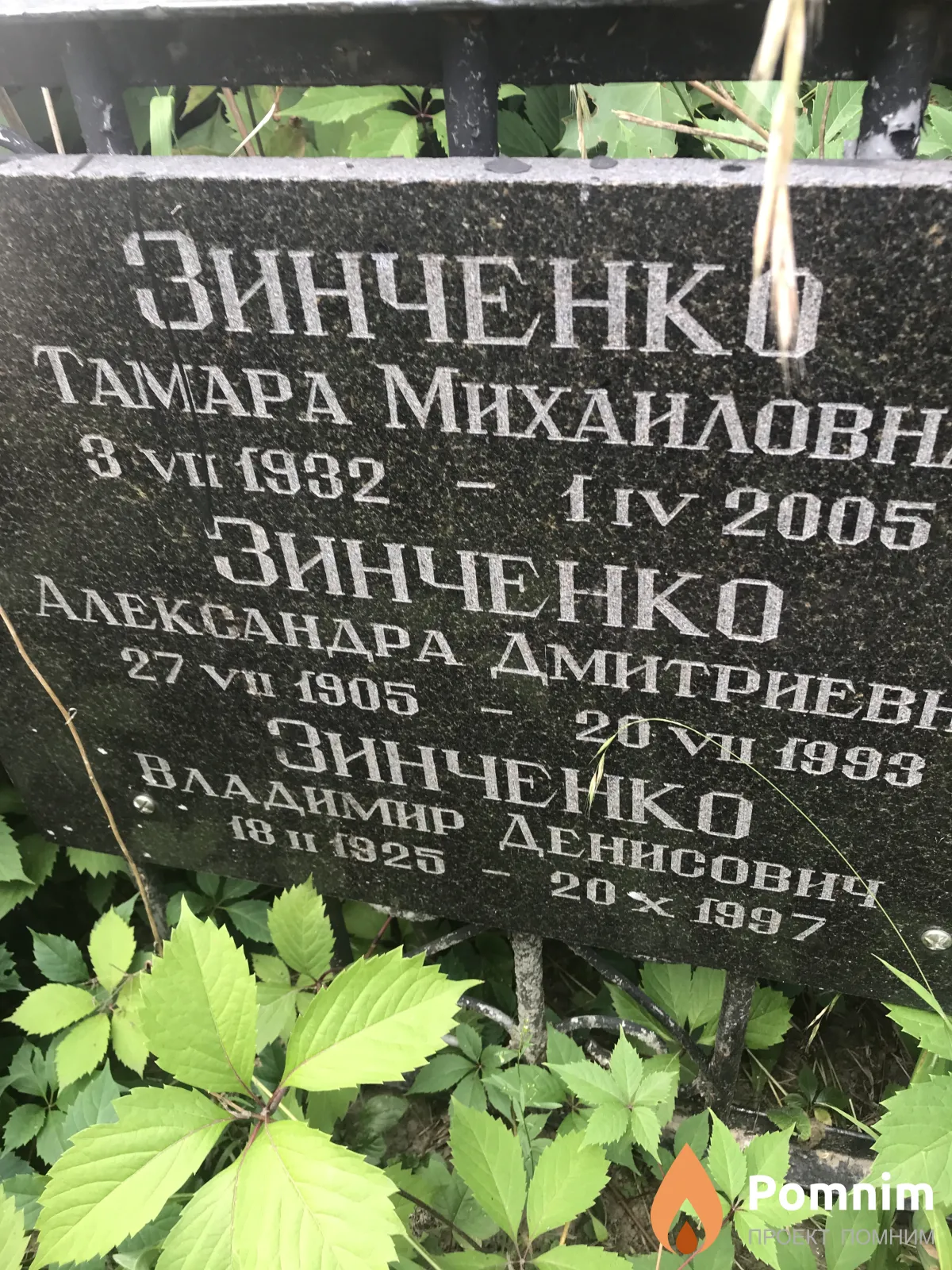 Зинченко Александра Дмитриевна