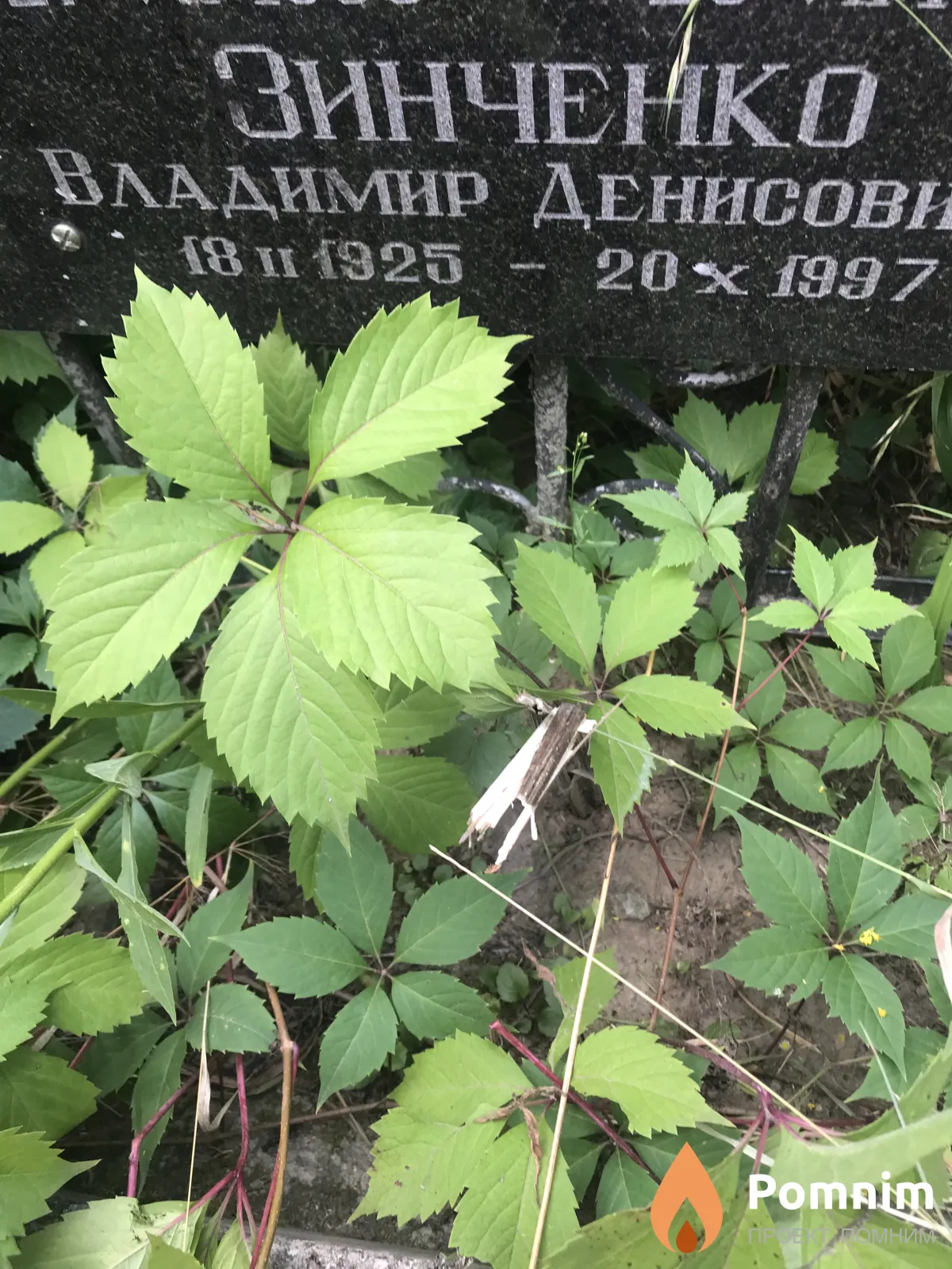 Зинченко Владимир Денисова