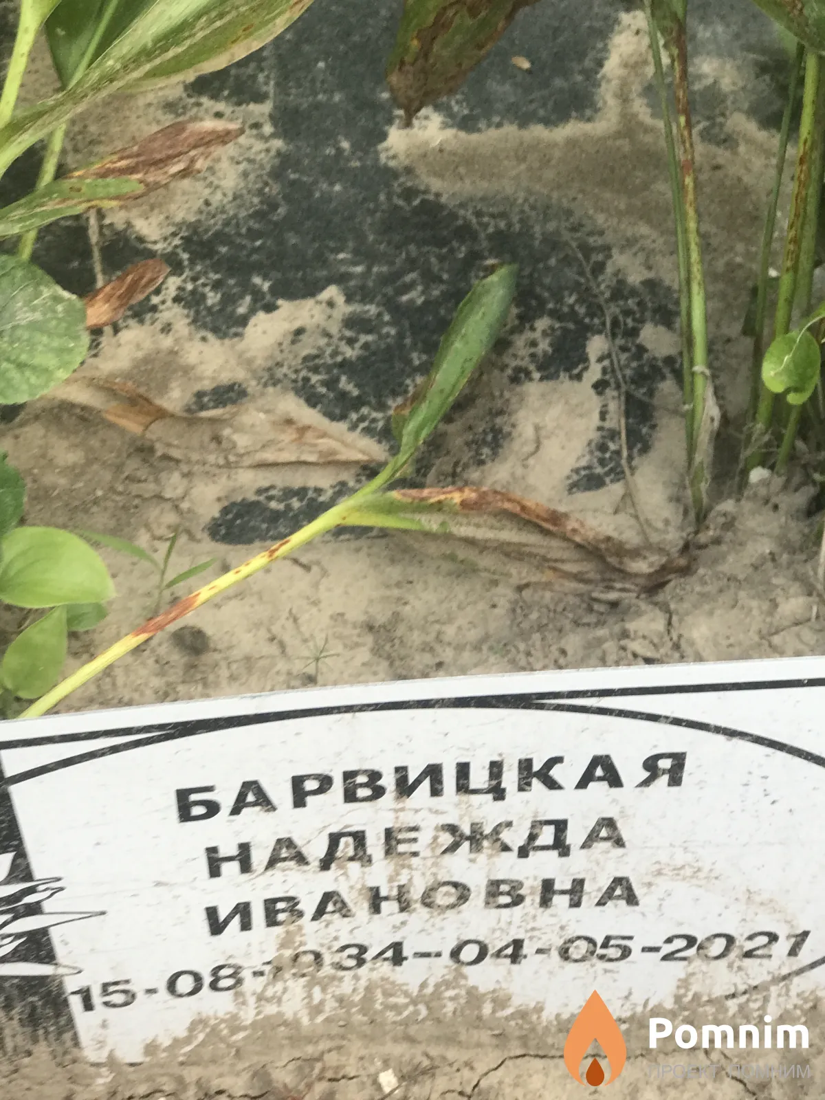 Барвицкая Надежда Ивановна