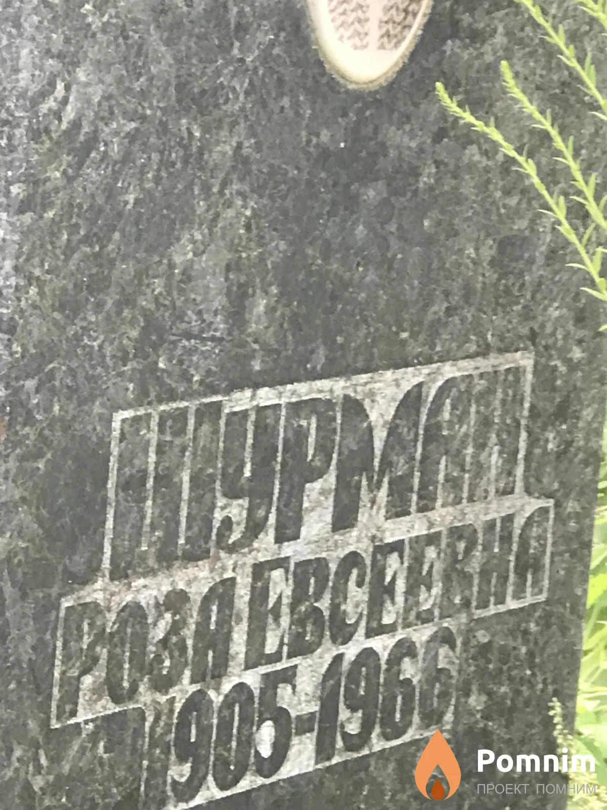 Шурман Роза Евсеевна