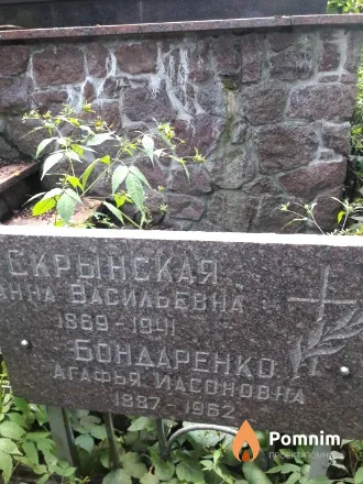 Скрынская Анна Васильевна