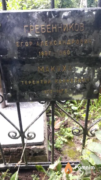 Гребенников Егор Александрович