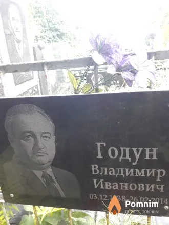Годун Владимир Иванович