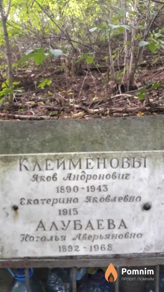 Алубаева Наталья Аверьяновна