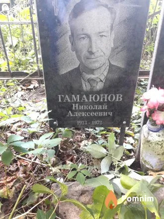 Гамаюнов Николай Алексеевич