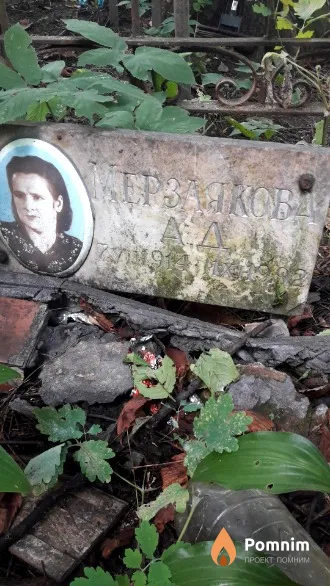 Мерзлякова А. Д.