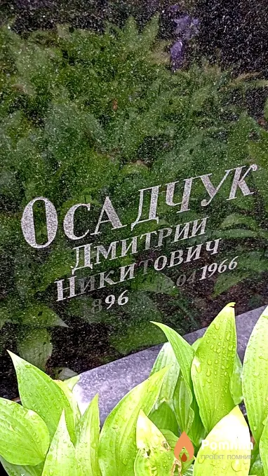 Осадчук Дмитрий Никитович