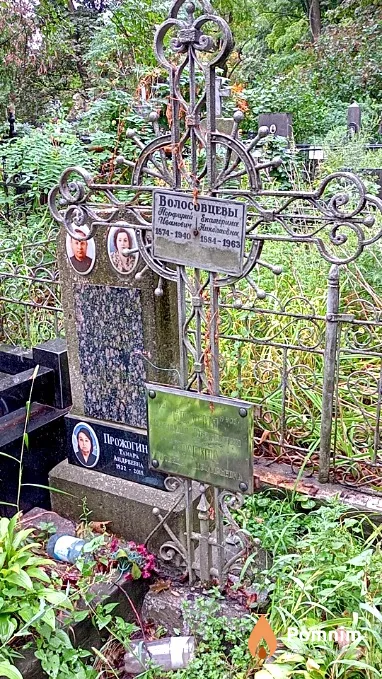 Волосовцева Екатерина Николаевна