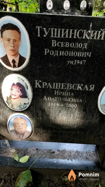 Крашевская Ирина Анатольевна