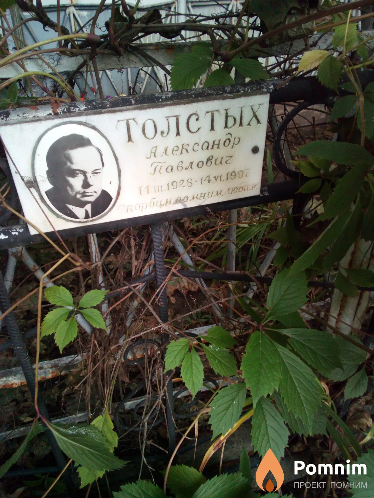 Толстых Александр Павлович