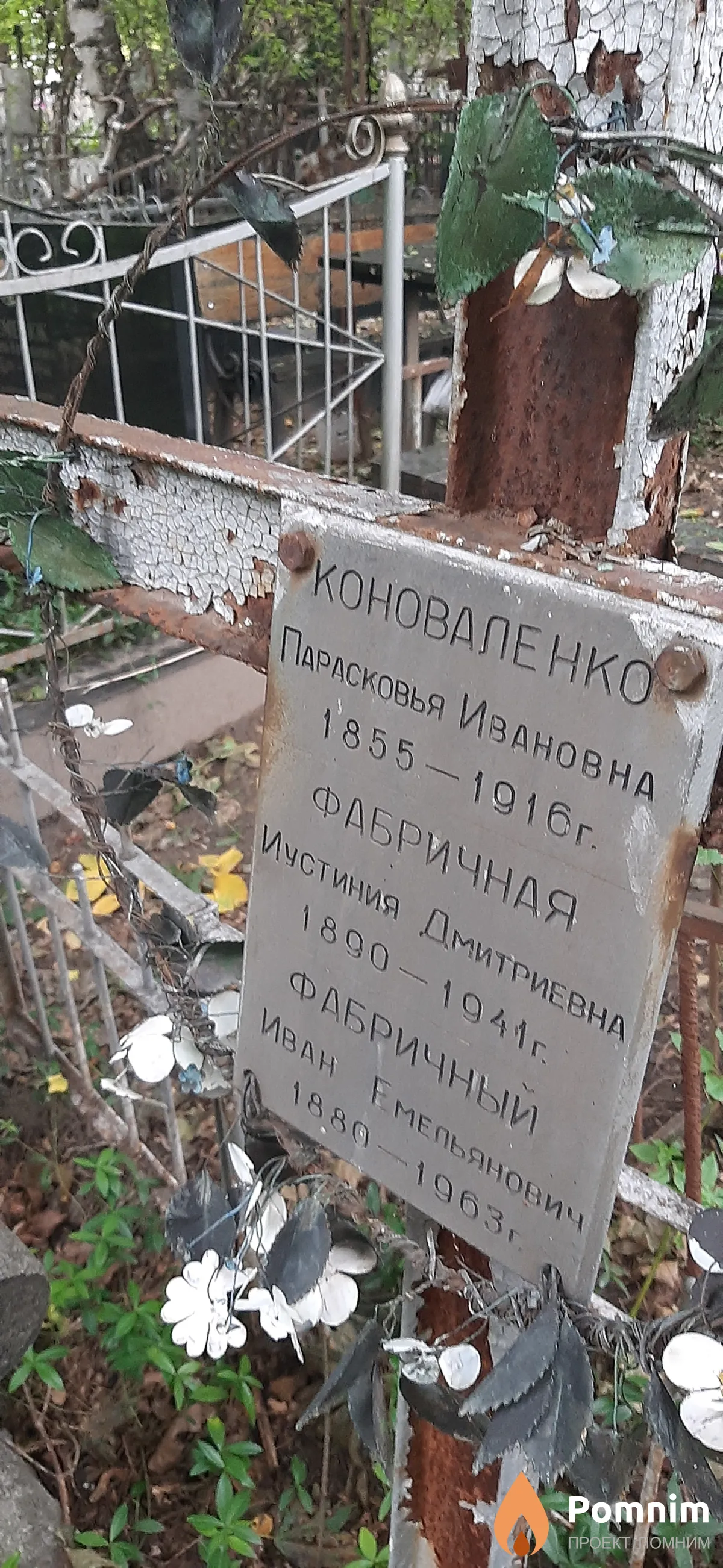 Коноваленко Парасковья Ивановна