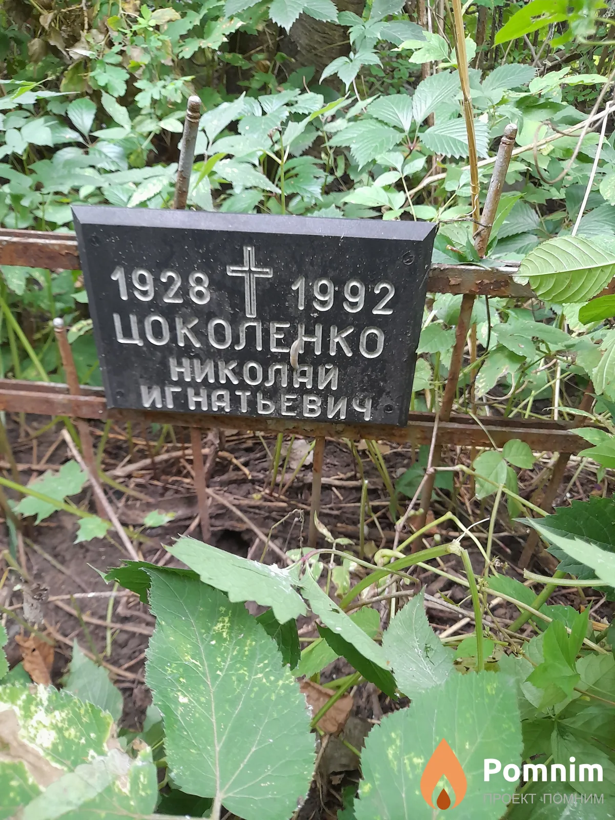 Цоколенко Николай Игнатьевич