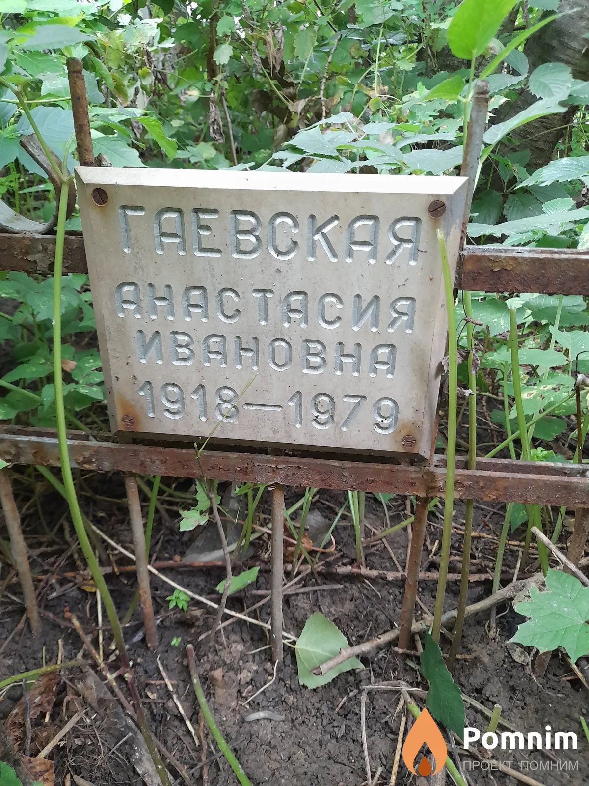 Гаевская Анастасия Ивановна