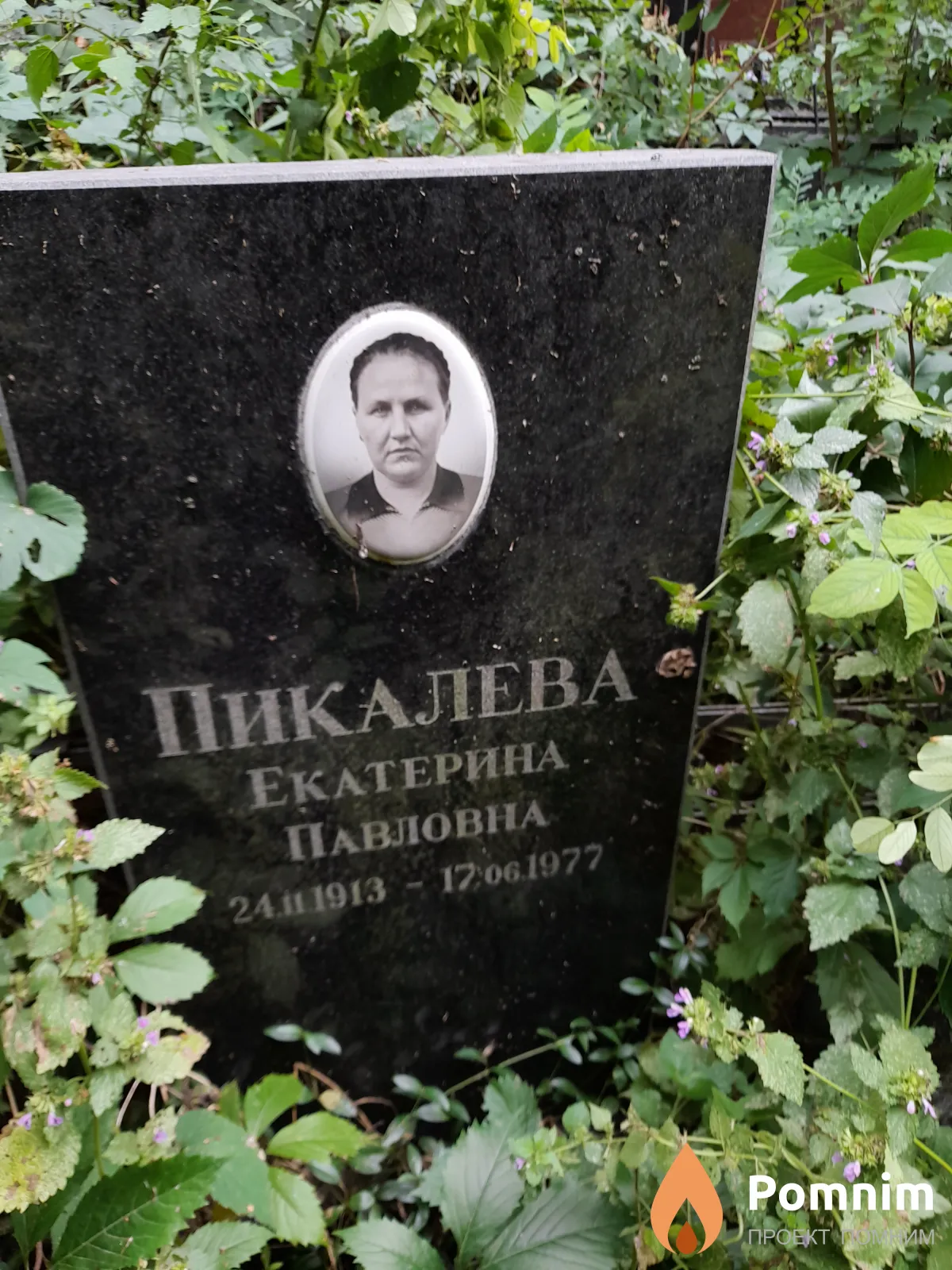 Пикалева Екатерина Павловна