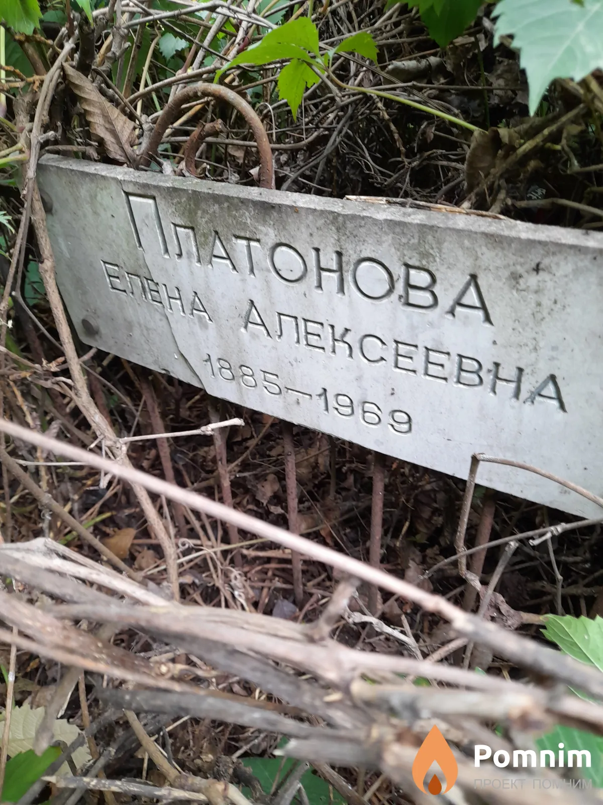 Платонова Елена Алексеевна