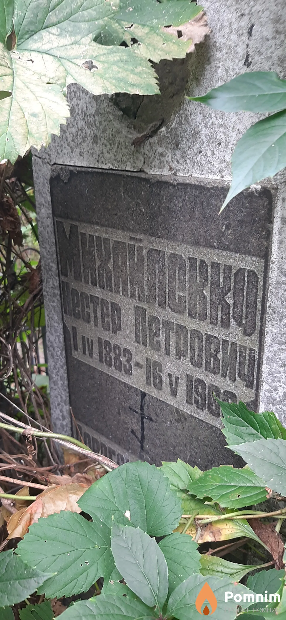 Михайловко Нестер Петрович