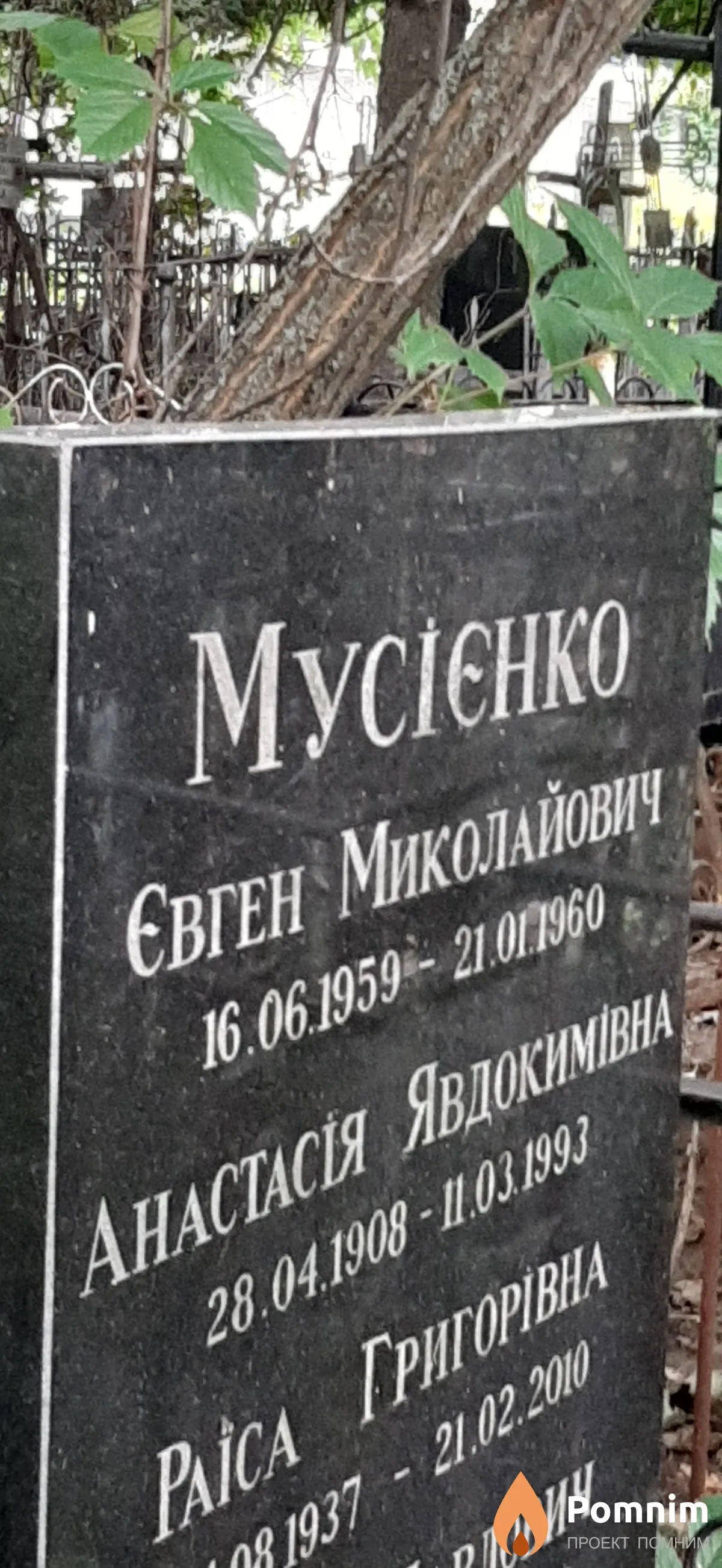 Мусиенко Евгений Николаевич