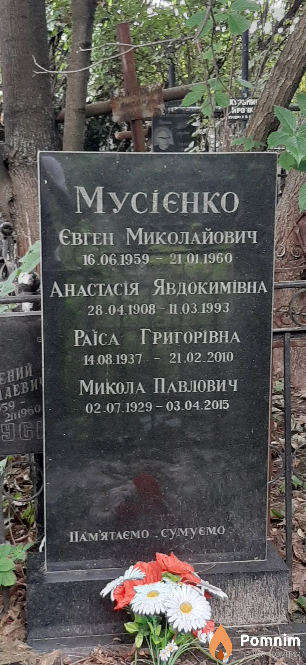 Мусиенко Анастасия Евдокимовна