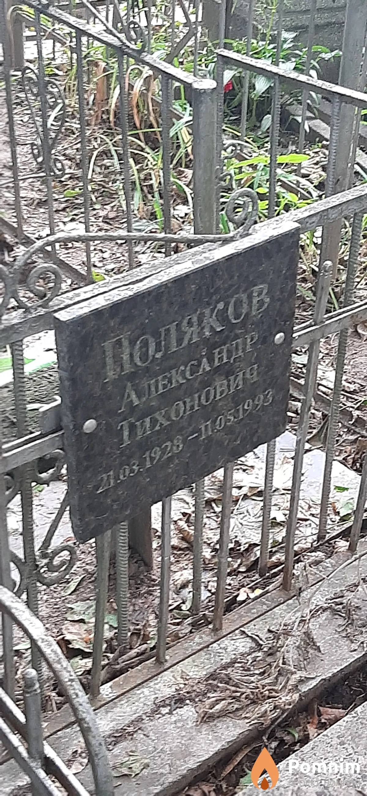 Поляков Александр Тихонович