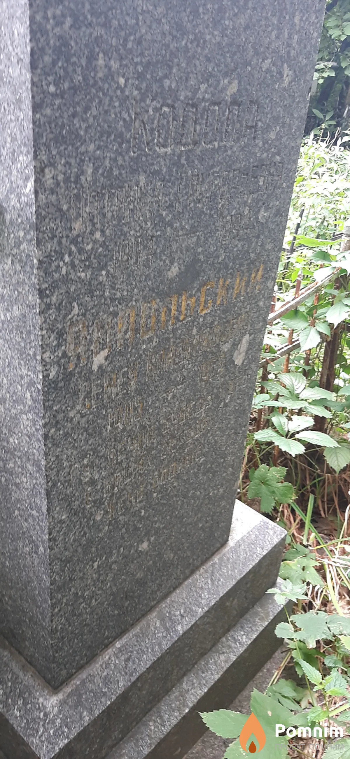 Янпольский Семен Владимирович