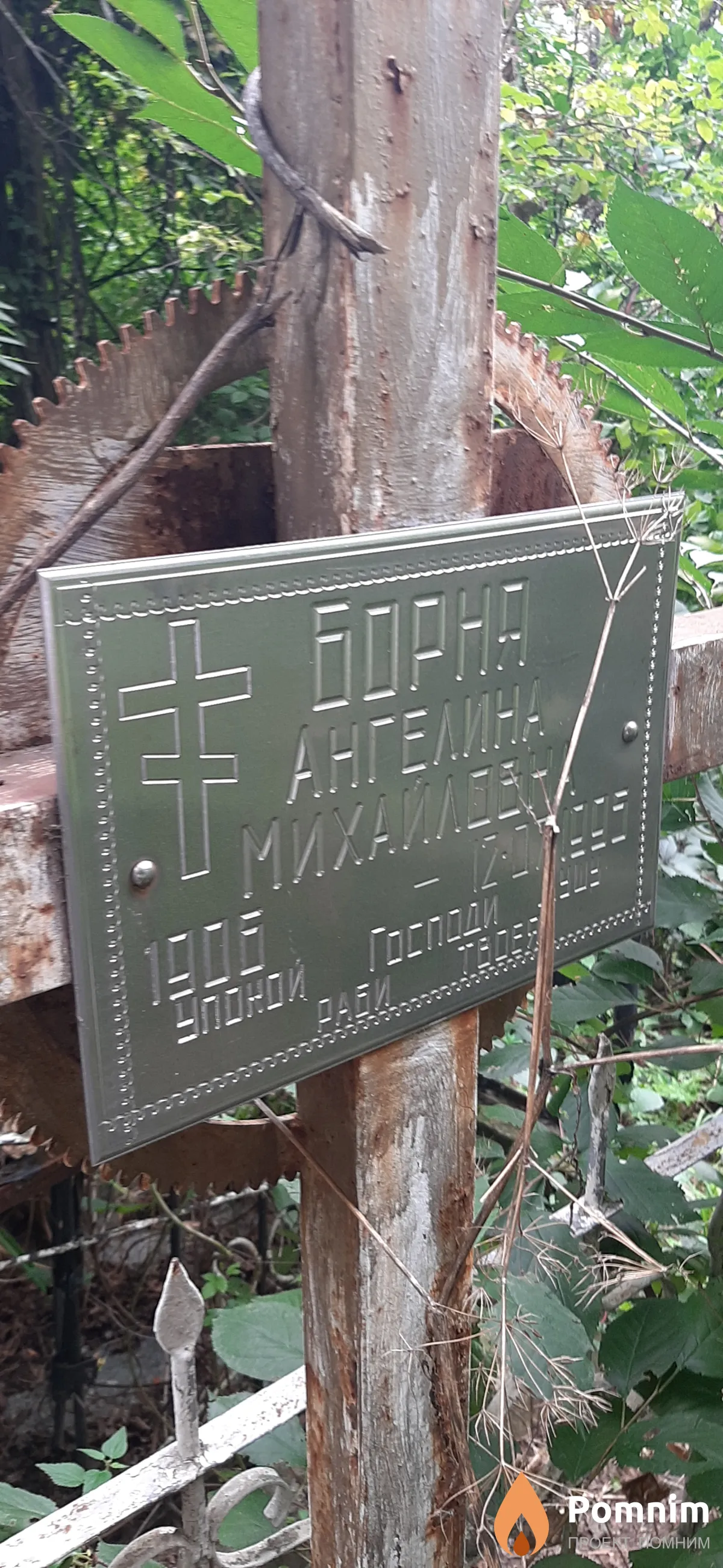 Борна Ангелина Михайловна