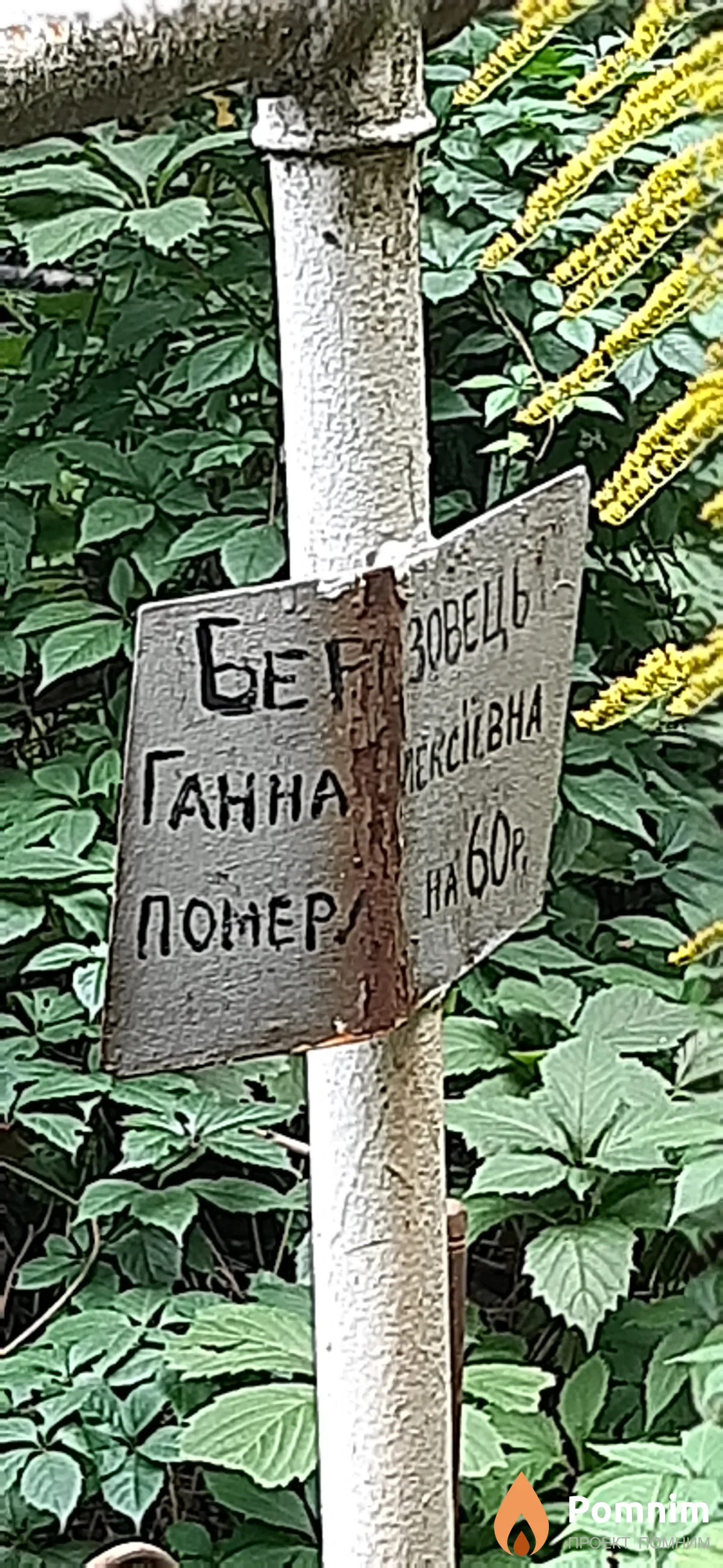 Березовець Ганна Алексеевна