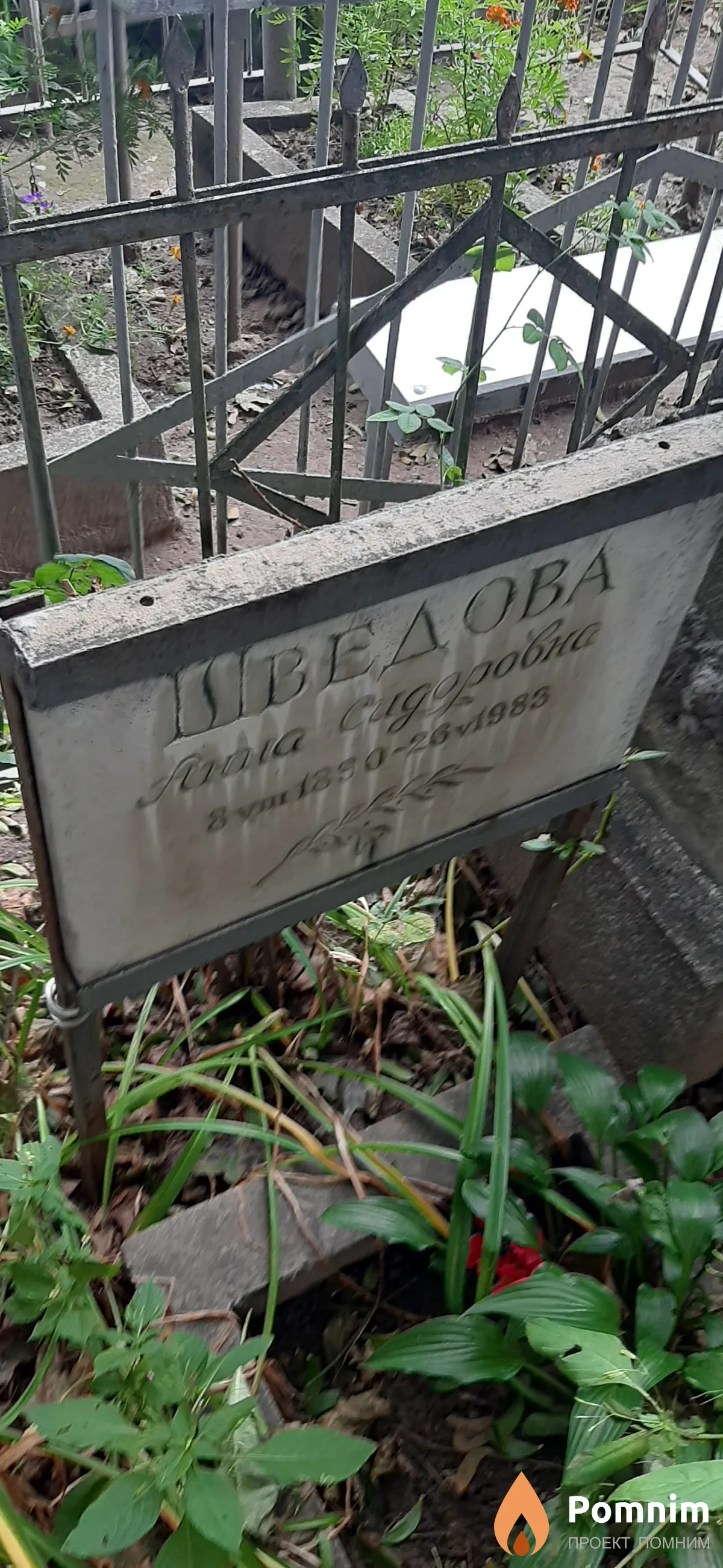 Шведова Анна Сидоровна