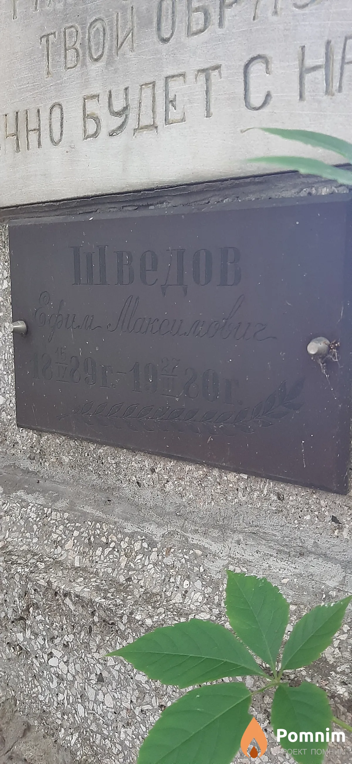 Шведов Ефим Максимович