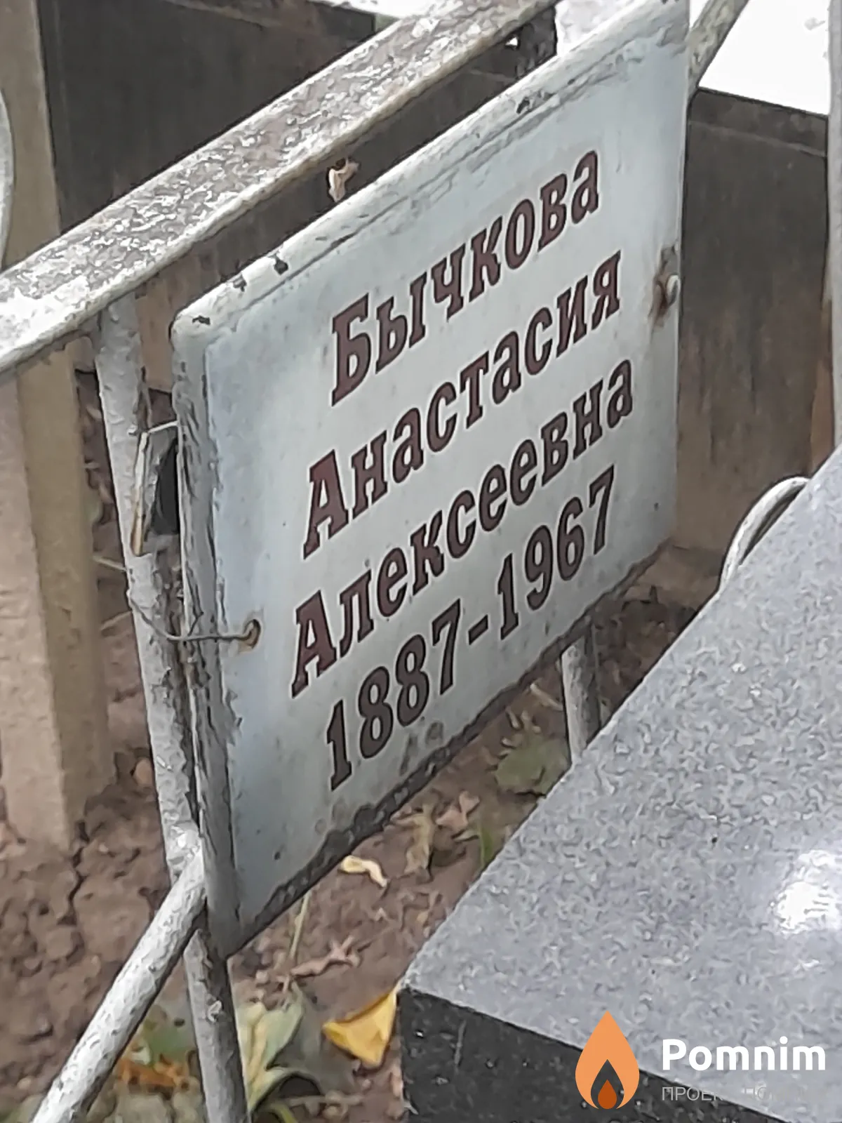 Бычкова Анастасия Алексеевна