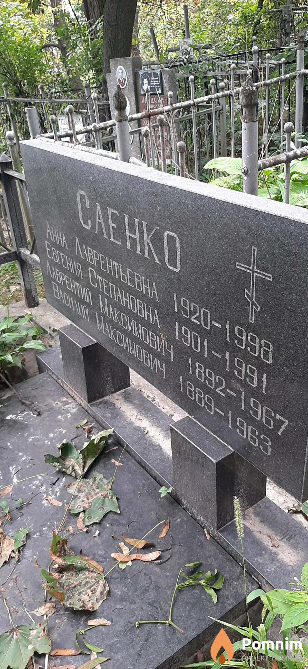 Саенко Евгения Степановна