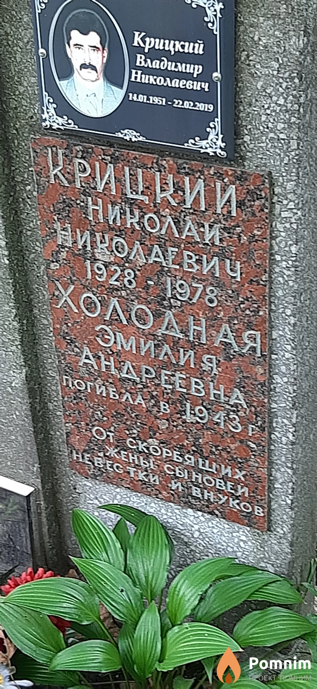 Крицкий Николай Николаевич