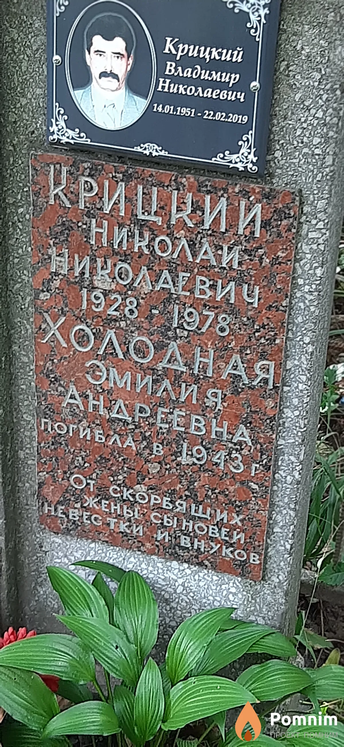 Холодная Эмилия Андреевна