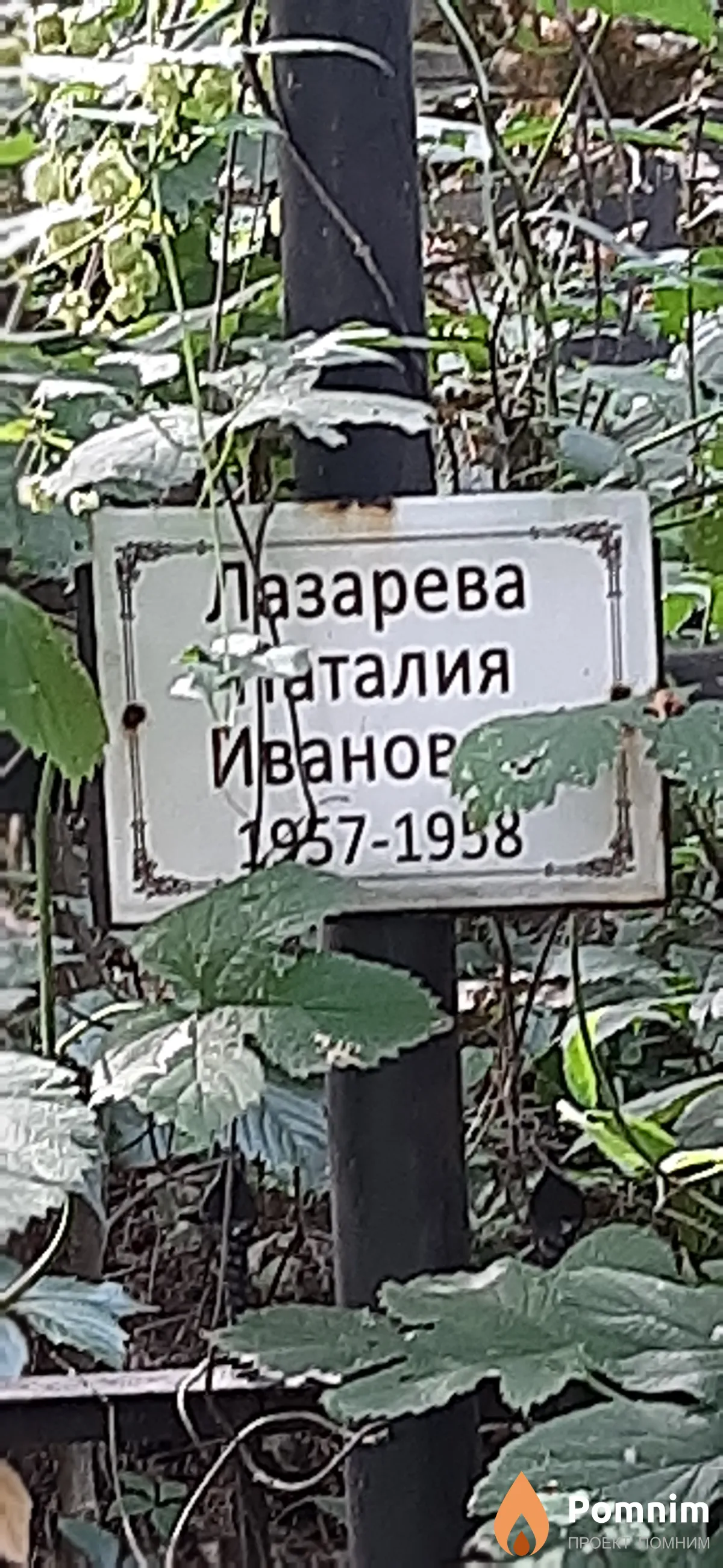 Лазарева Наталия Ивановна