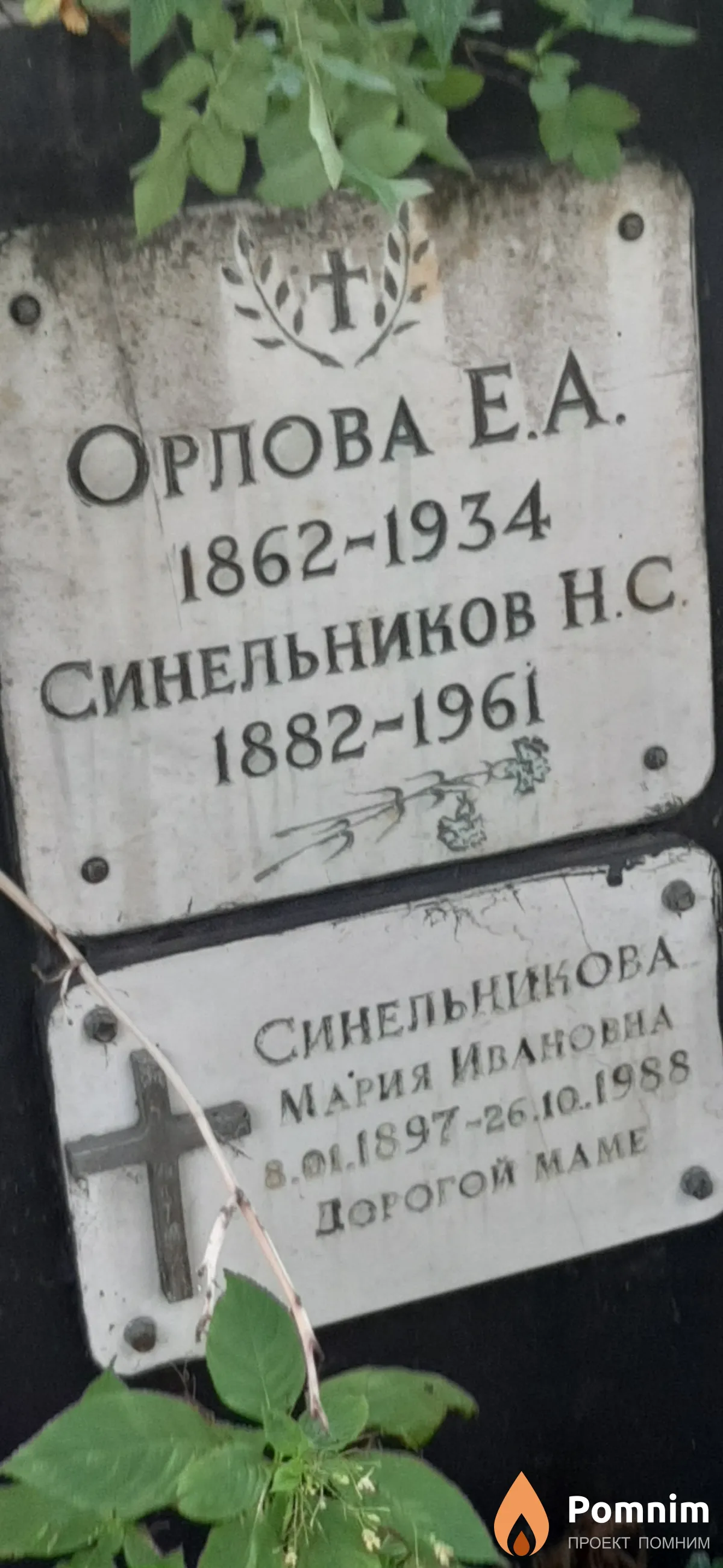 Синельников Н. С.