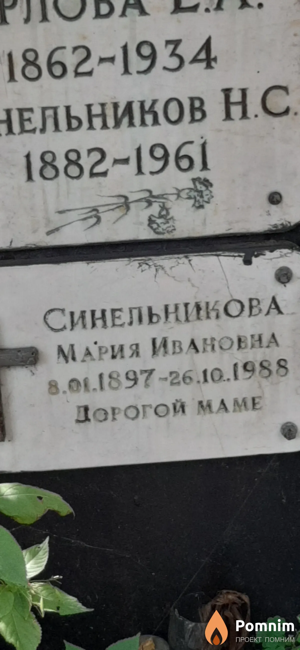 Синельникова Мария Ивановна