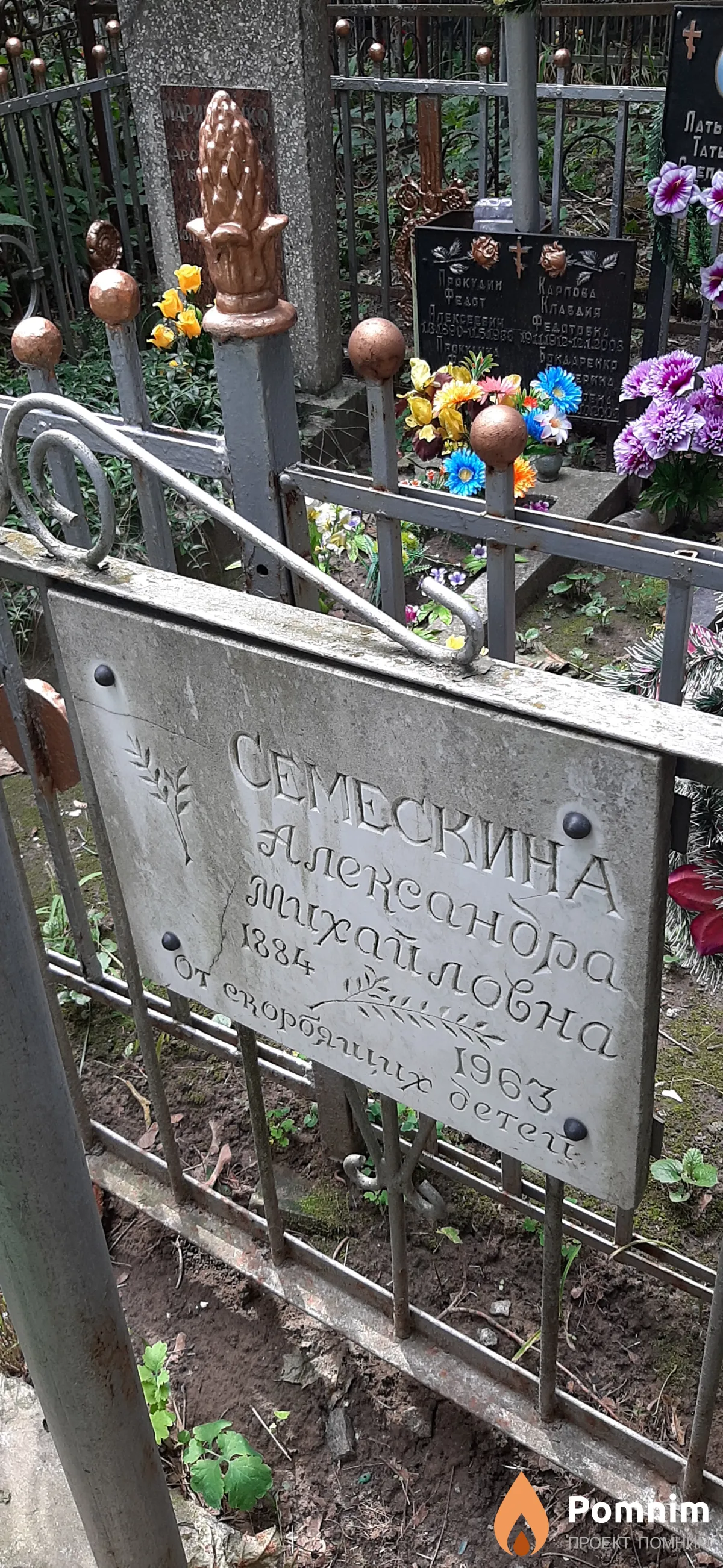 Семескина Александра Михайловна