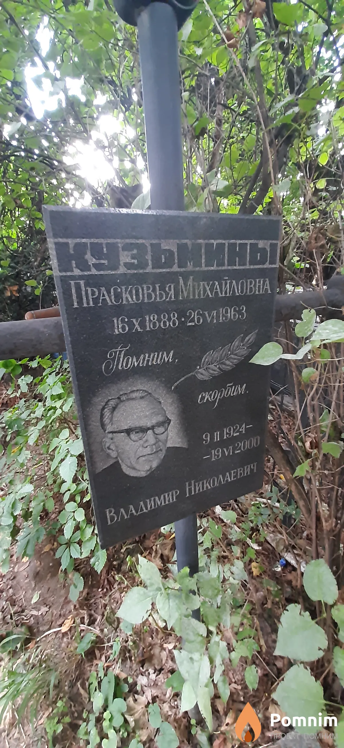 Кузьмин Николай Николаевич