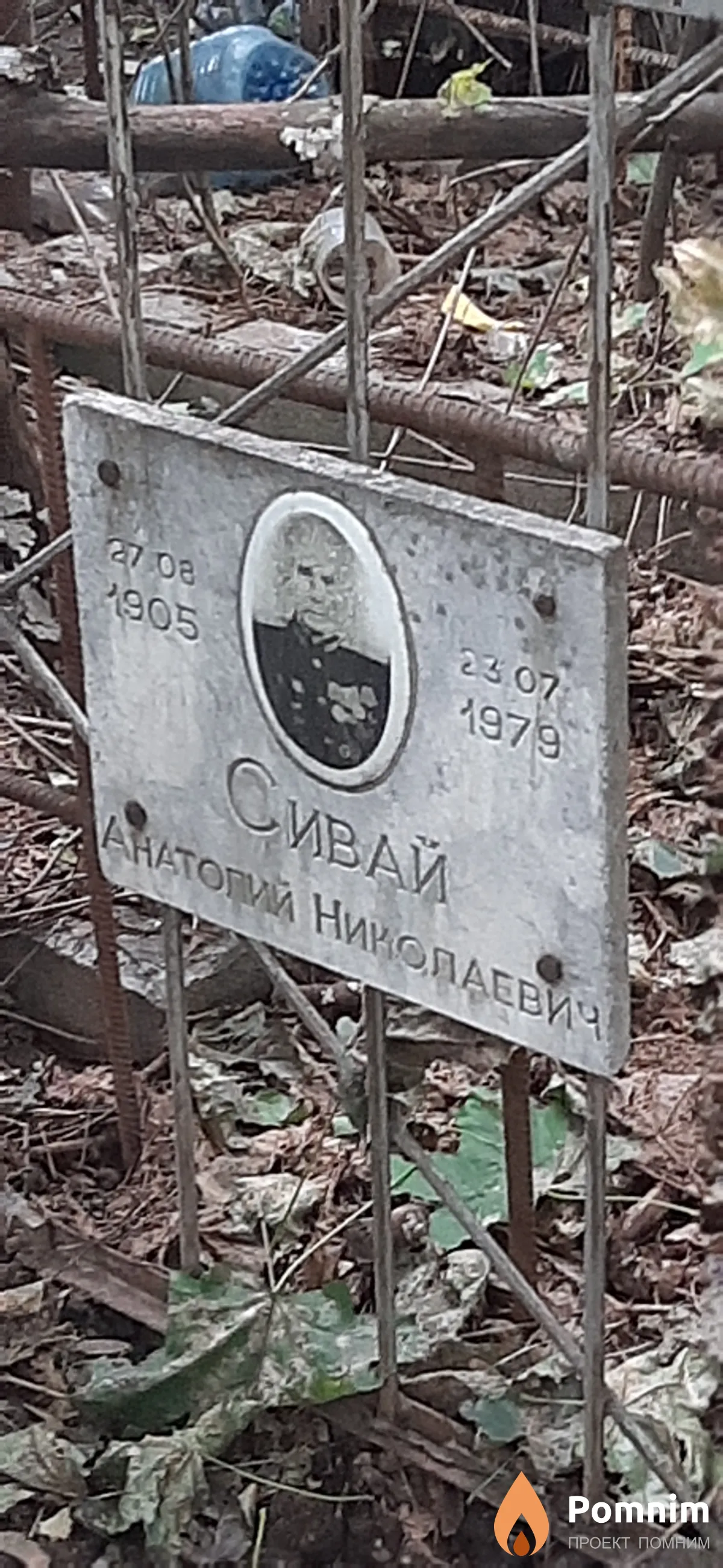 Сивай Анатолий Николаевич