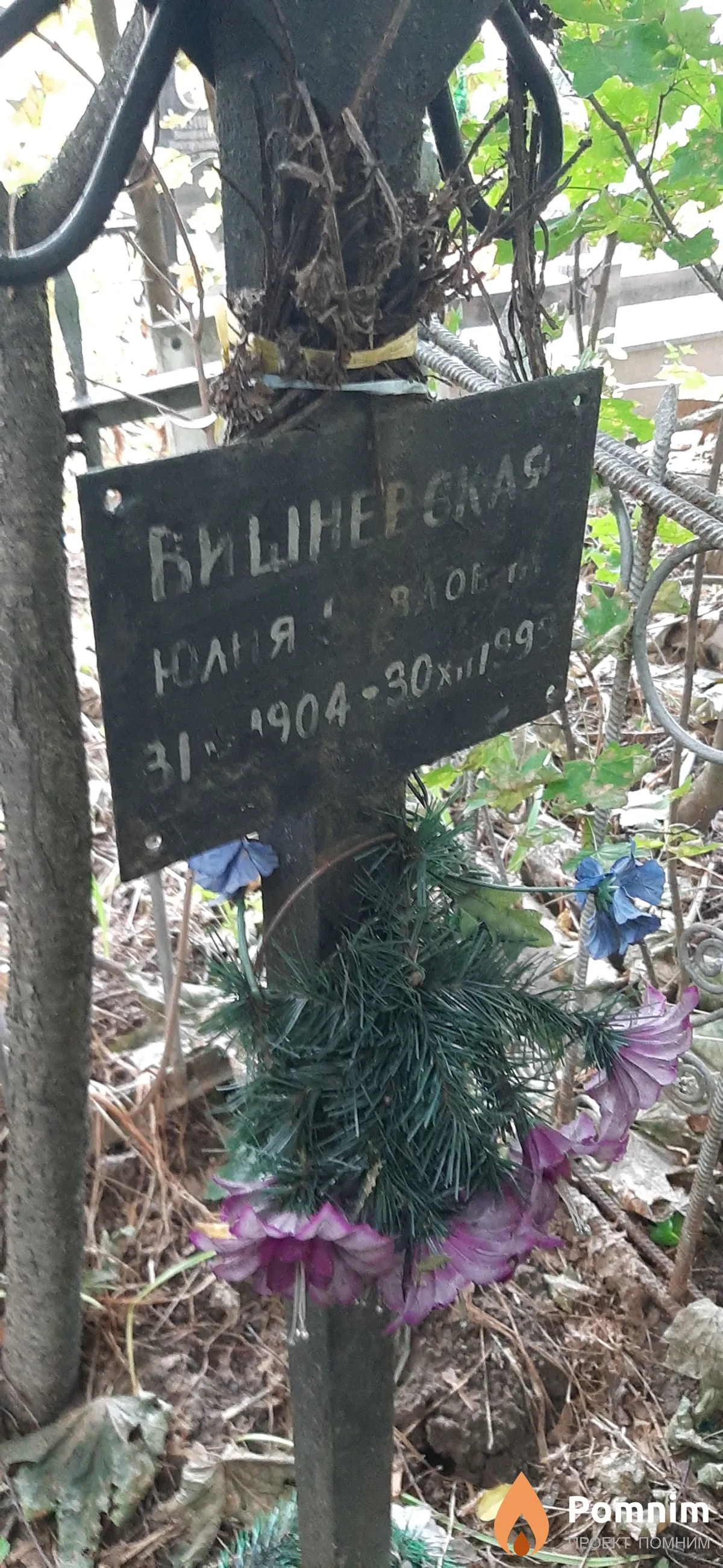 Вишневская Юлия Павловна