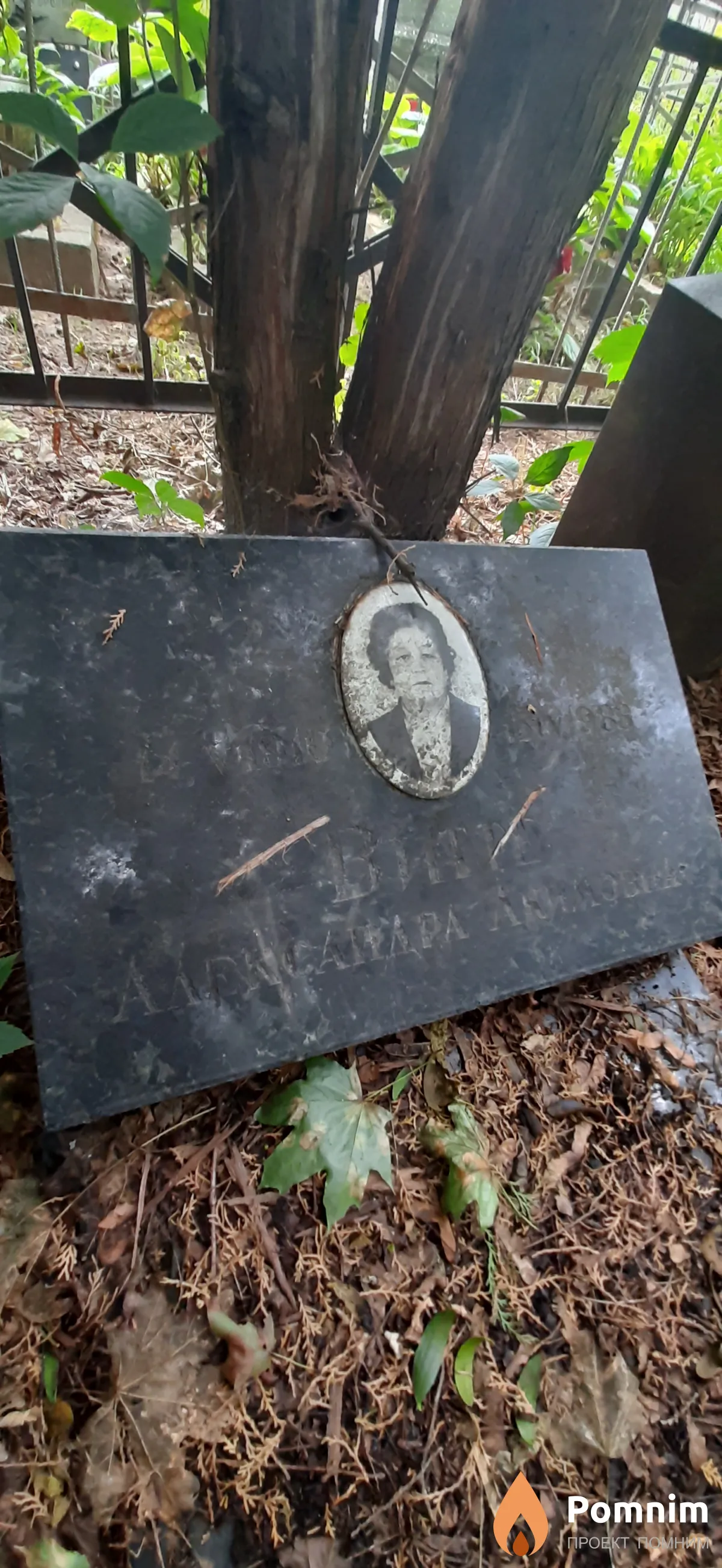 Витте Александра Акимовна