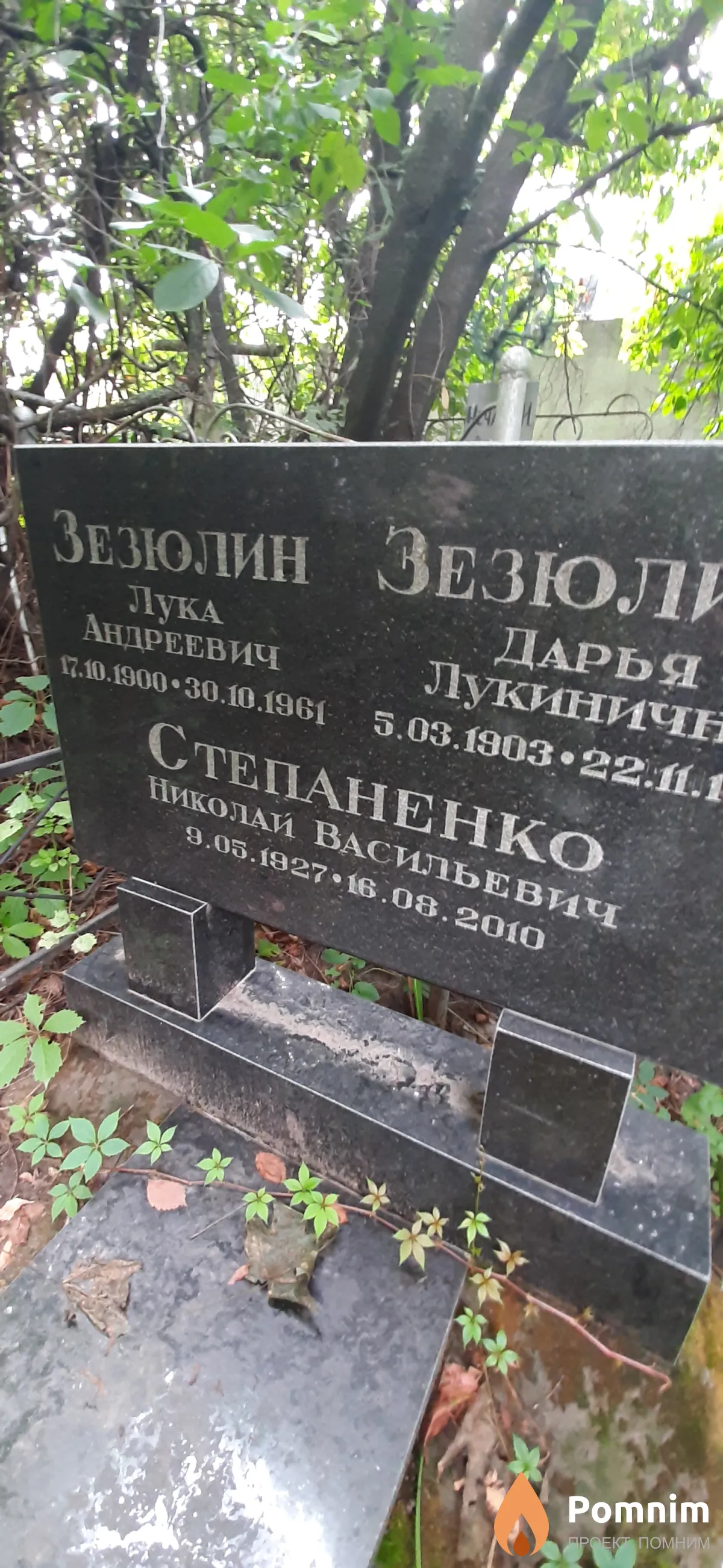 Степаненко Николай Васильевич
