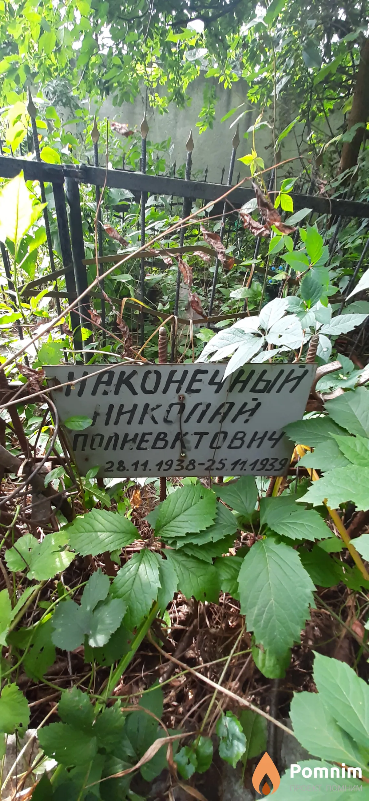 Наконечный Николай Полиевктович
